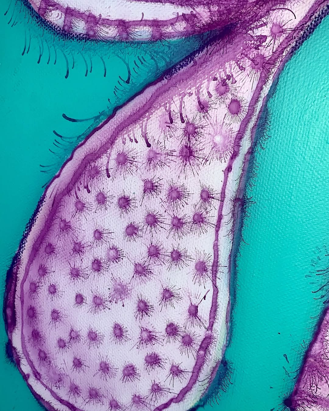 Farfalla al mirtillo