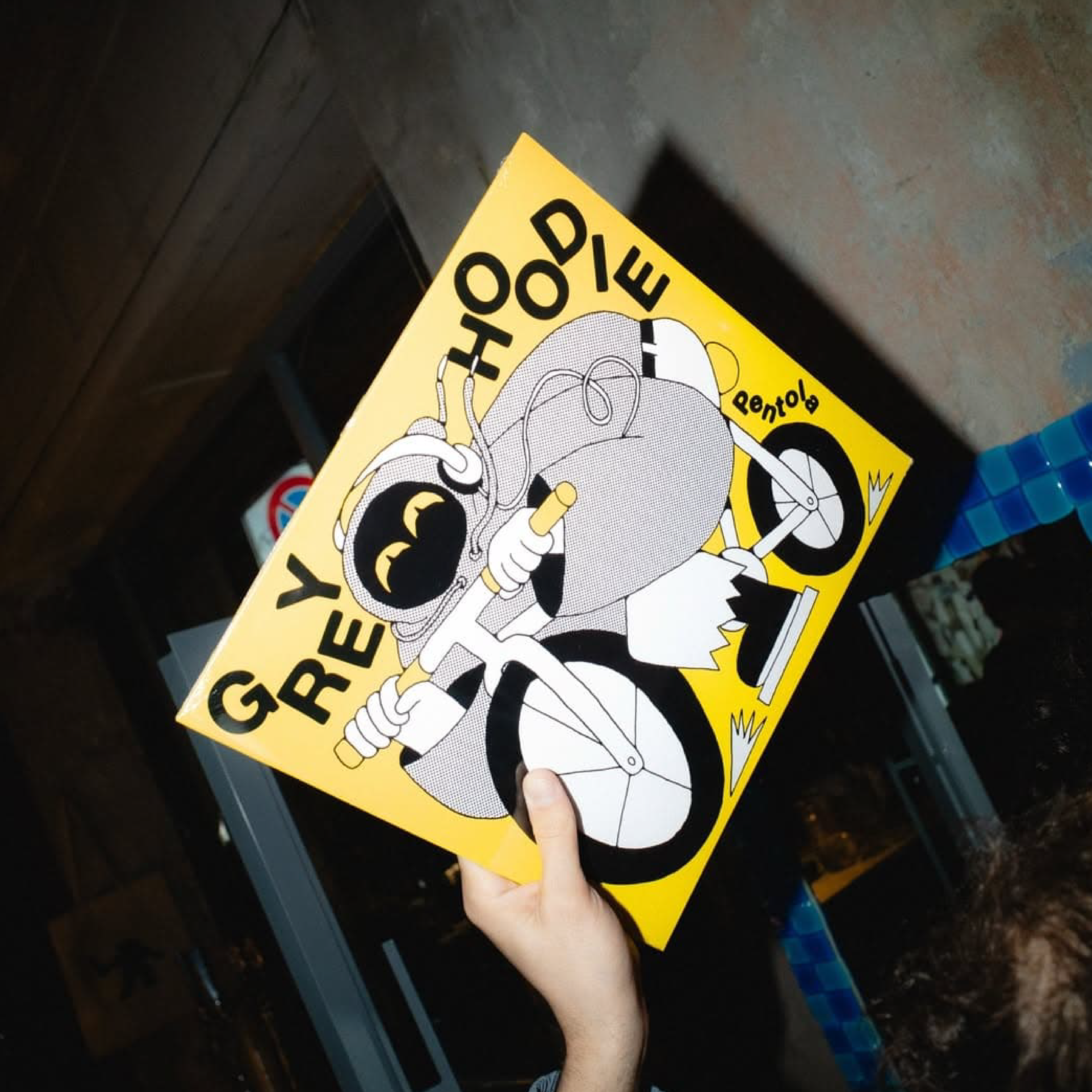 Grey Hoodie Vynil Cover