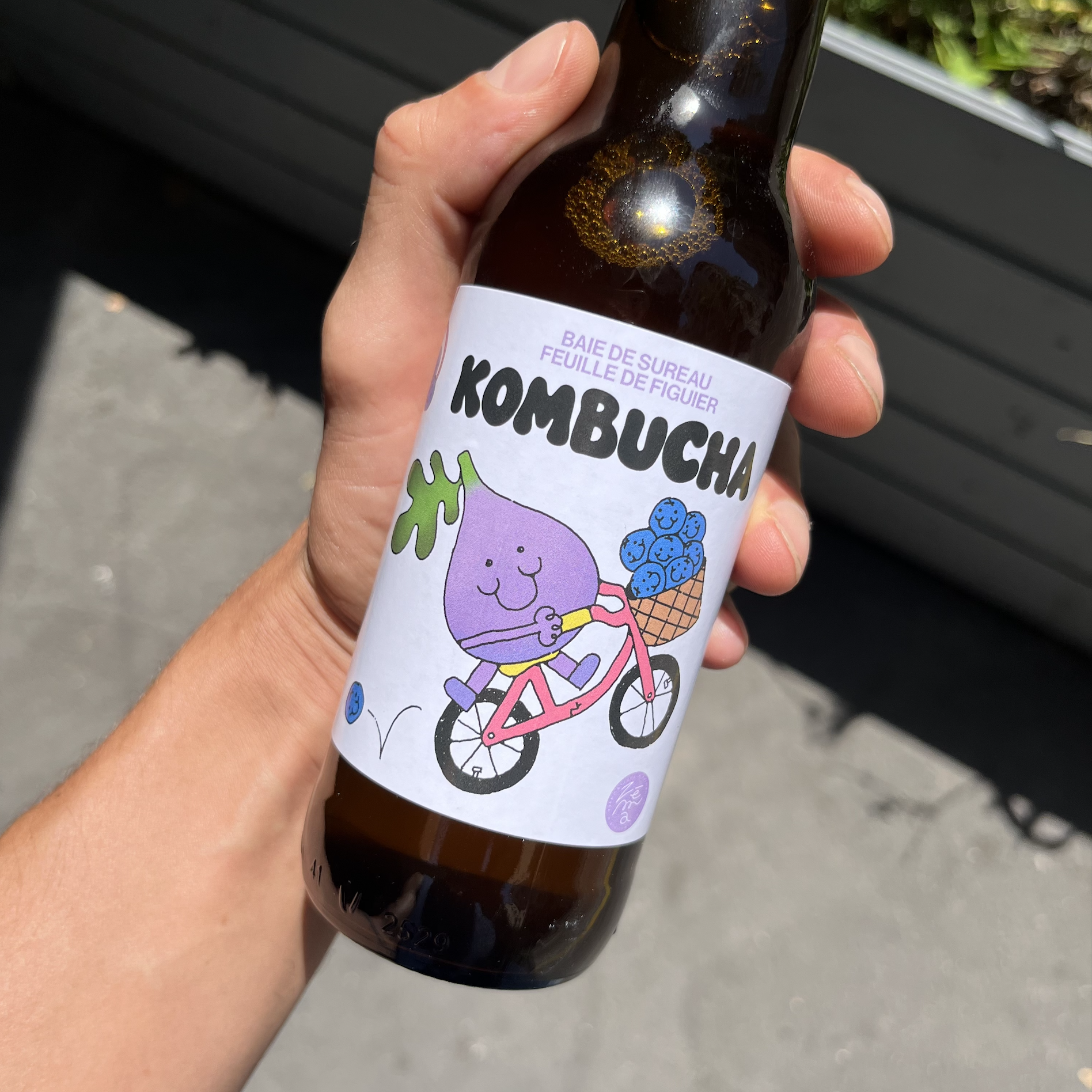 Kombucha 1